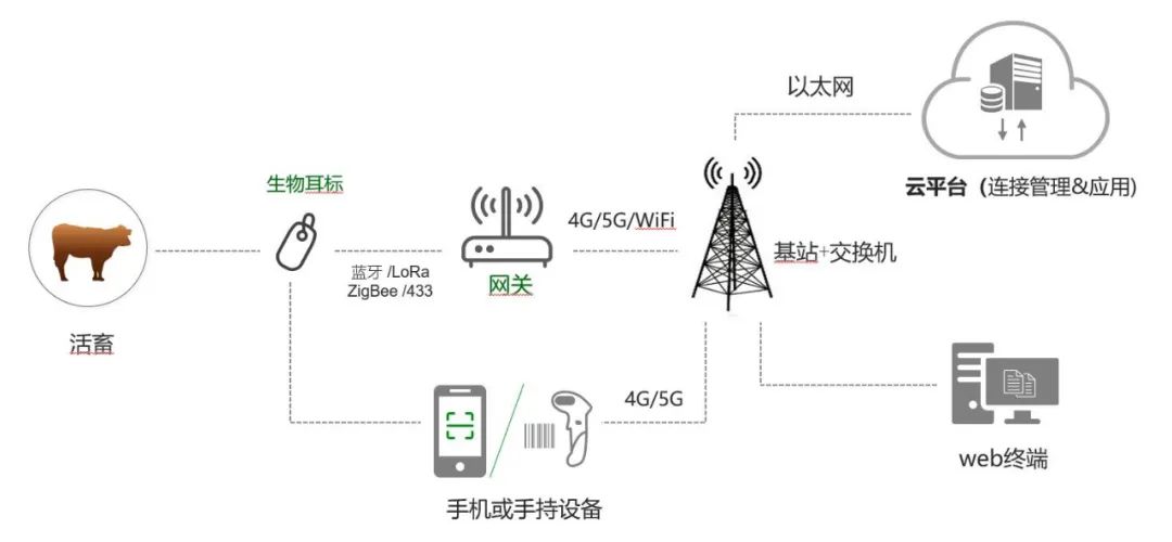 1660812121284340.jpg 06.jpg